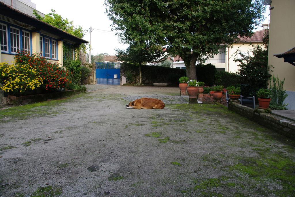 Apartment Tapada Flats