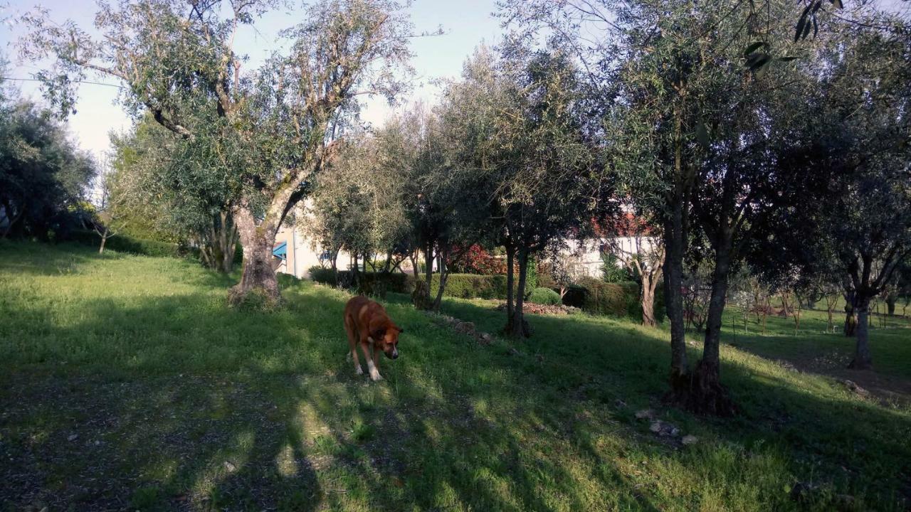 Tapada Flats Viseu